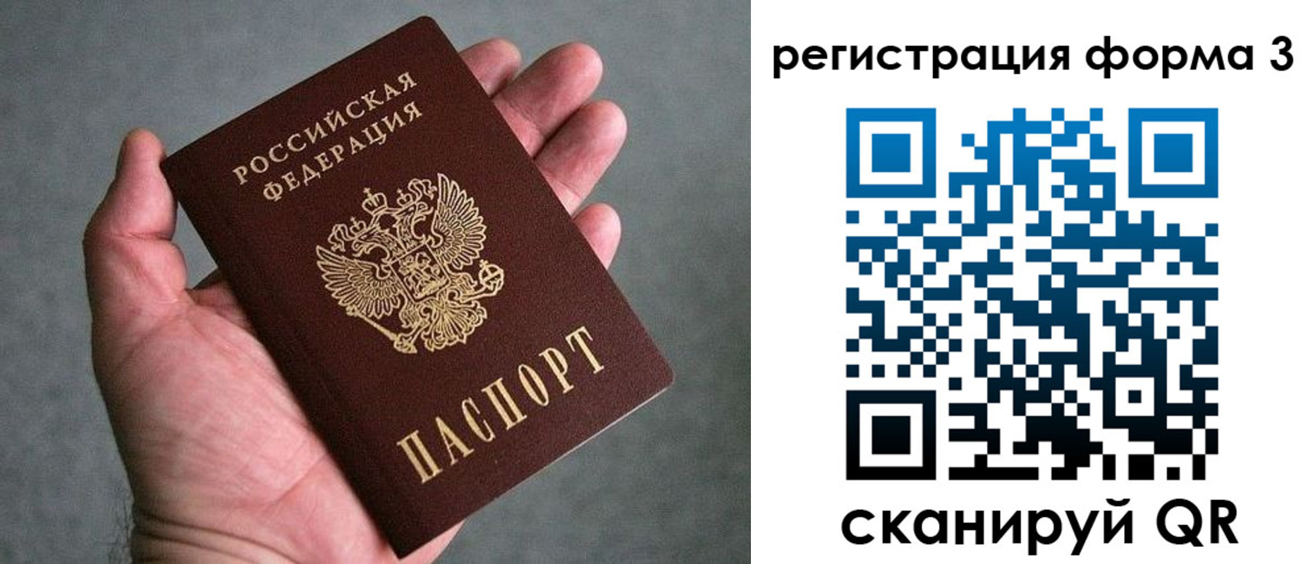 прописка 2025 в Гвардейске